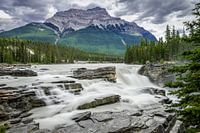 Athabasca Falls