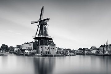 Haarlem - de Adriaan von Martijn Kort