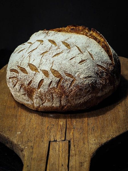 Boule 1 von Miriam Meijer, en pleine campagne.....