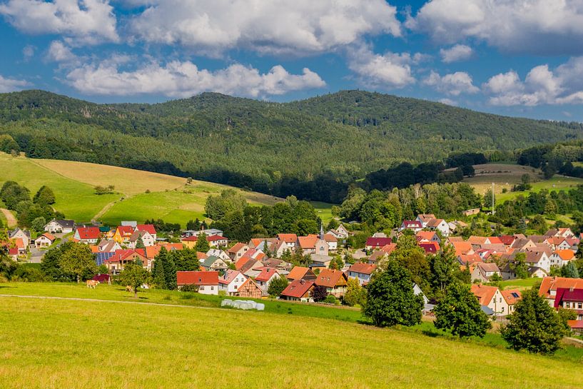 Un paysage magnifique à Rennsteig/Forêt de Thuringe par Oliver Hlavaty