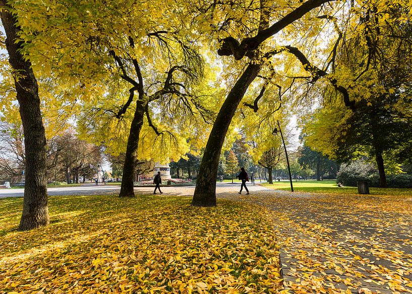 Herfstkleuren in Park Valkenberg Breda von JPWFoto