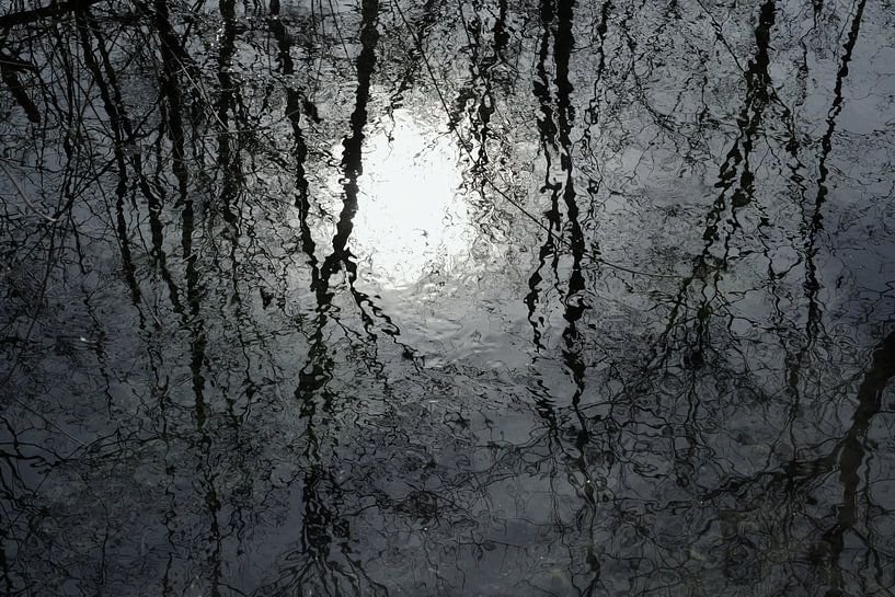 sun Mirror by Christine Nöhmeier