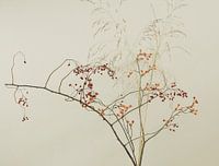 decorative branches
