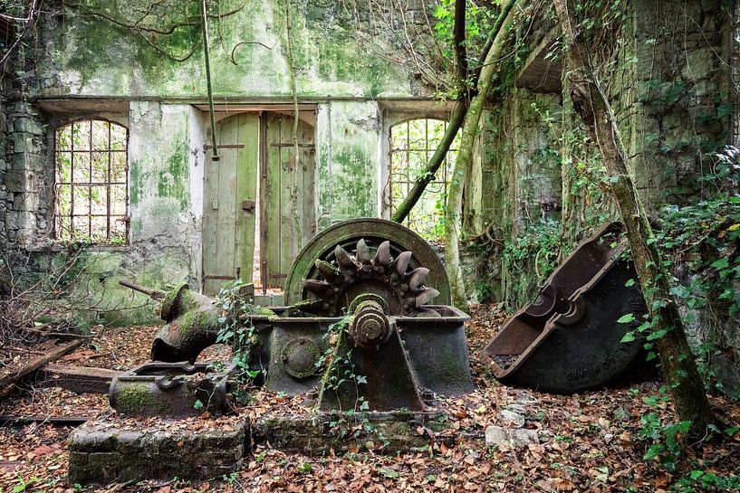 Verlassenes Wasserkraftwerk - von Pflanzen verschlungen von Times of Impermanence