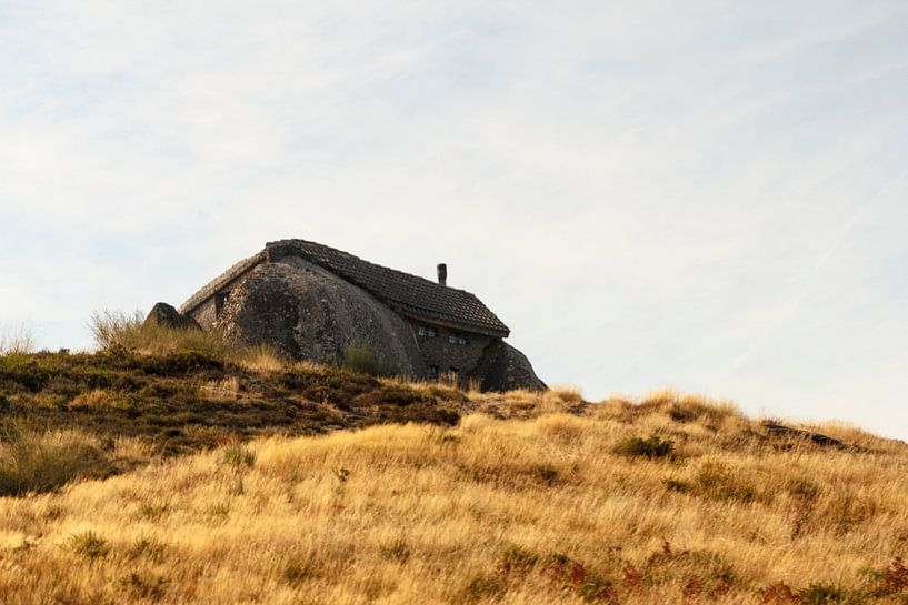 Casa do Penedo par ton vogels