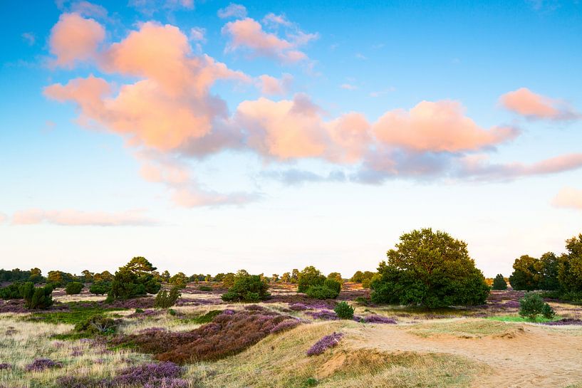 Heideveld met wolkenlucht von Mark Scheper