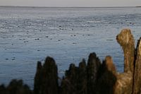 Moddergat, Waddenzee