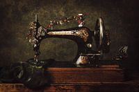 Weinleseblumen-Sänger