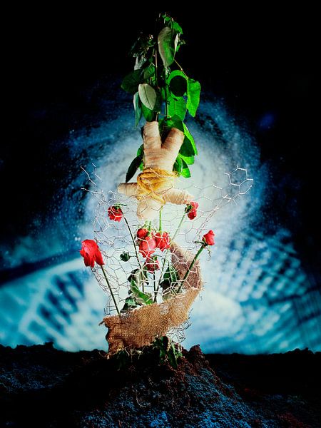 Poupée avec des roses, Poupée avec des roses par Photoworkx - Rob Severijnen