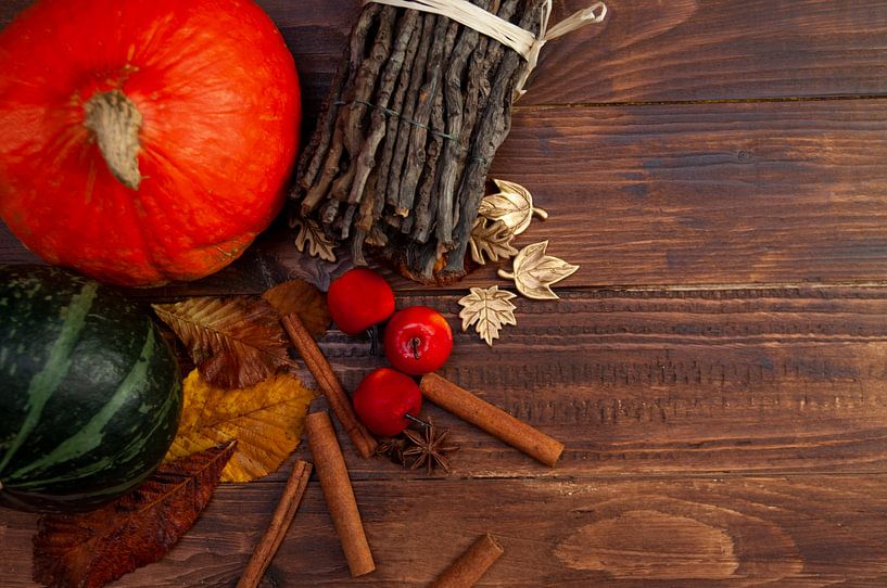 Herbst von zippora wiese