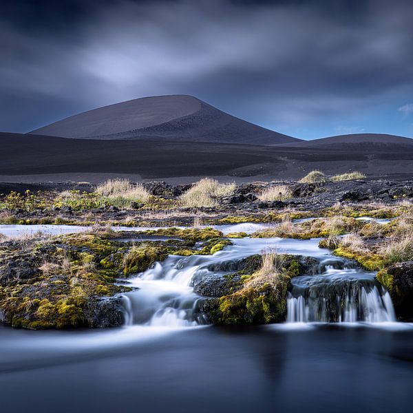 Une oasis de rêve par Robert Bolton