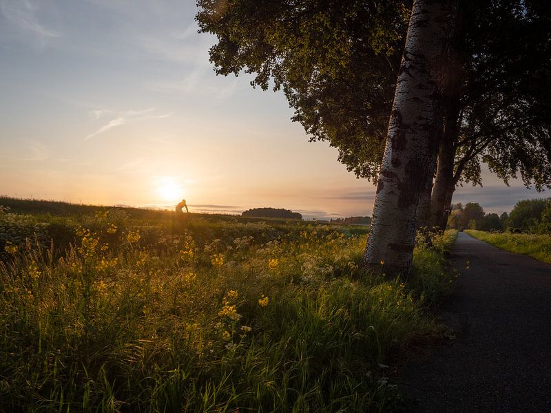 Lone cyclist by Mattijs Diepraam