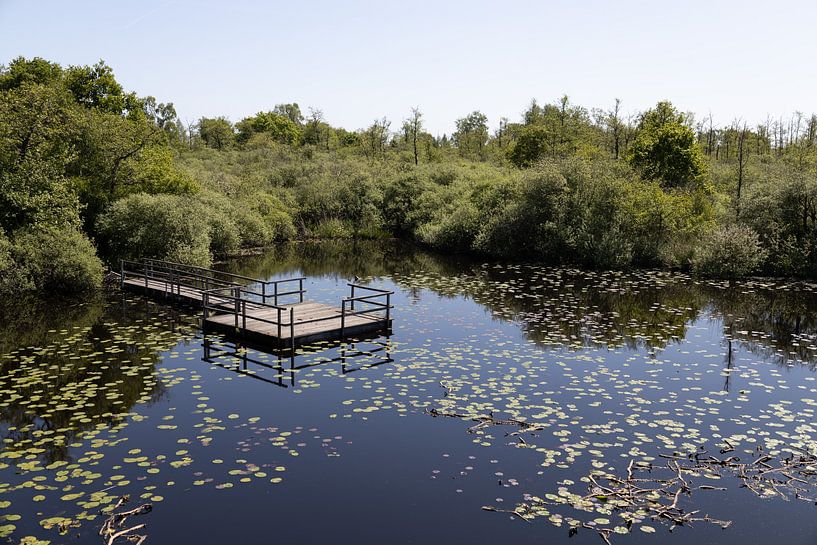 Steiger langs de Moerputtenbrug van Martin Kreté
