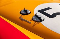 Detail der bunten Motorhaube dieses Pegaso Z-102.