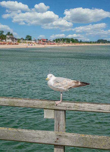 Vacances à la mer Baltique par Peter Eckert
