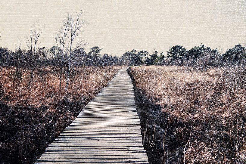 Réserve naturelle du parc national De Groote Peel par Imaginative
