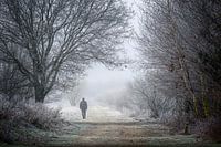 Je wandelt nooit alleen