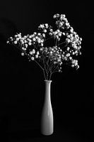 Stilleben mit weißen Blumen in einer weißen Vase, monochrom