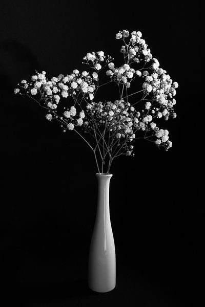 Nature morte avec des fleurs blanches dans un vase blanc, monochrome par Felix Sedney