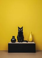 Minimalismus mit Katze