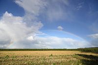 Land unterm Regenbogen