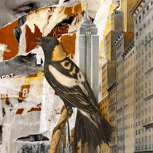 About Birds in Cities von Marja van den Hurk