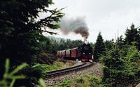 Chemin de fer avec wagons dans le Harz