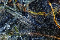 L'univers dans l'eau gelée