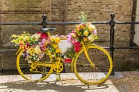 Een oude gele fiets versierd met bloemen staat tegen het hek van een gracht in Gouda