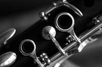 Detail Klarinette (4)