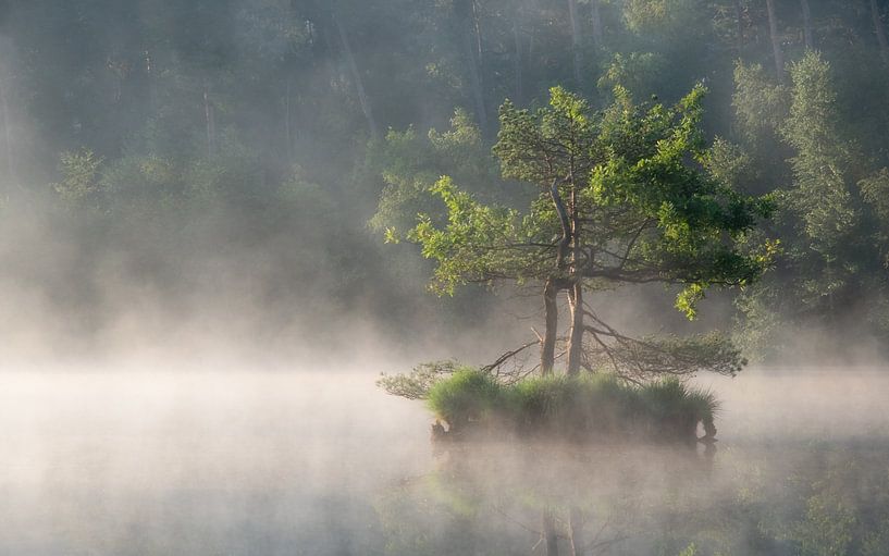 Fagnes d'Oisterwijk par Jeroen Linnenkamp