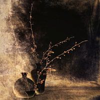 Wabi Sabi Harmony: Poetry of Imperfection