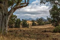 Flinders Ranges