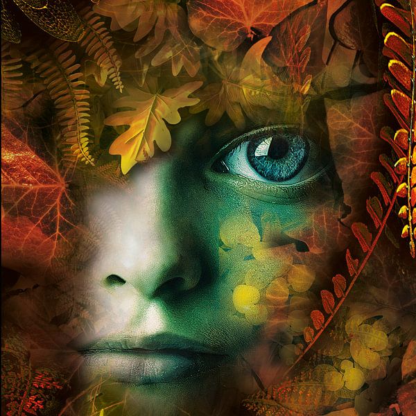 Close to Fall van Rudi Lippi