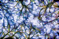 Abstracte takken tegen de lucht