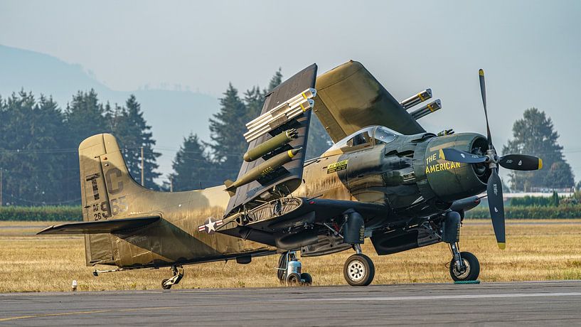 U.S. Air Force Douglas A-1D Skyraider. by Jaap van den Berg