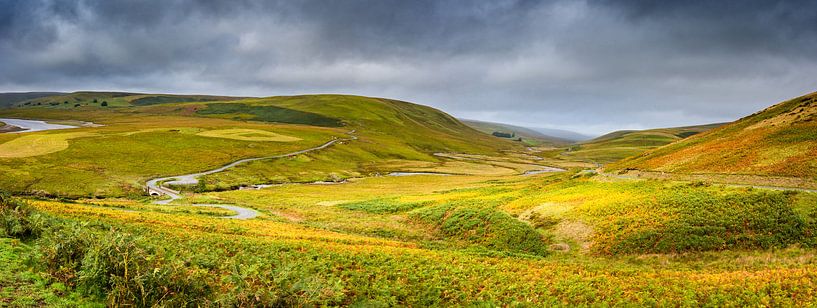 Patchwork von Gräsern und Moosen, Hügel Landschaft Wales von Rietje Bulthuis
