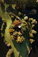 The old water tower in Zaltbommel during autumn.