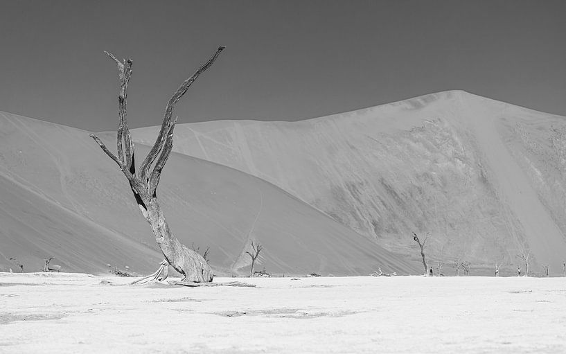 Große in kleinen Bäumen im Deadvlei in Schwarz und Weiß von Lennart Verheuvel