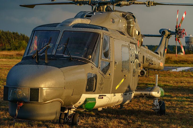 Marineflieger (Deutsche Marine) Westland Lynx (83+17). von Jaap van den Berg