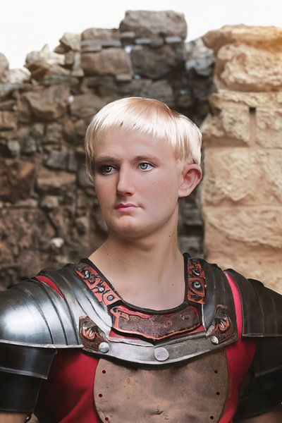 Kaiser Augustus: Mächtiger Führer des antiken Römischen Reiches - Ein Vermächtnis von Weisheit und Macht von Elianne van Turennout