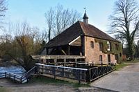 Auf dem Pferderücken entlang der Leumolen.