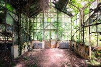 Verlassenes Gewächshaus