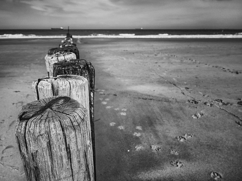 Paaltjes B&amp;W von Lex Schulte