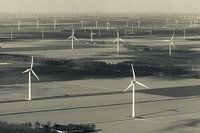 Waiting for the wind