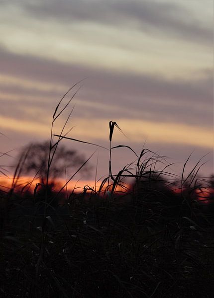 Sunset by Anke Winters