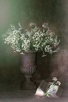 Wintermärchen mit summenden Vögeln.