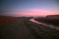 Ein kalter Frühlingsmorgen (2)