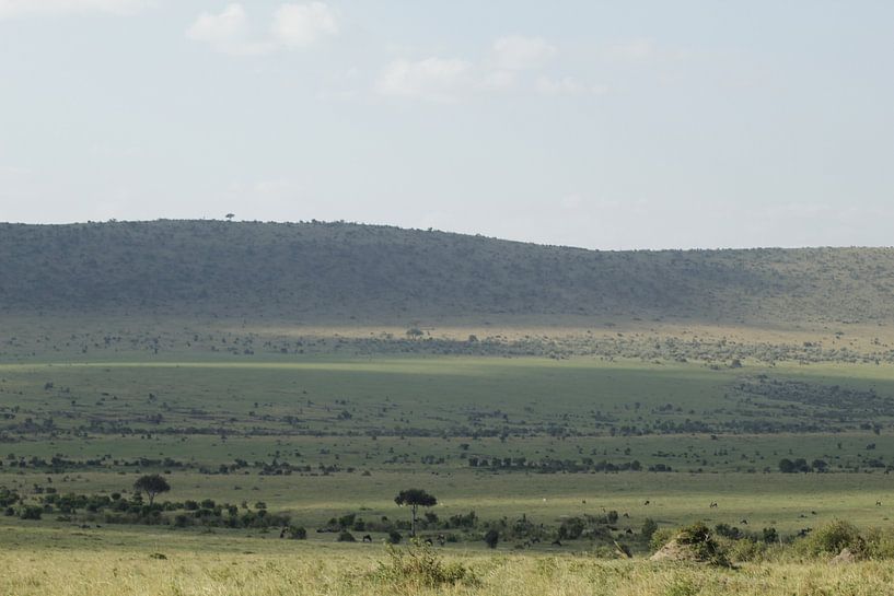 a beautiful view by Laurence Van Hoeck