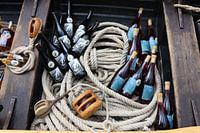 50 years of SAIL 2025